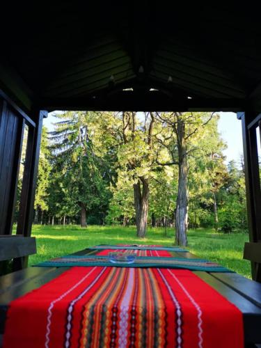 44177263 1073430919496452 3192486213734891520 n