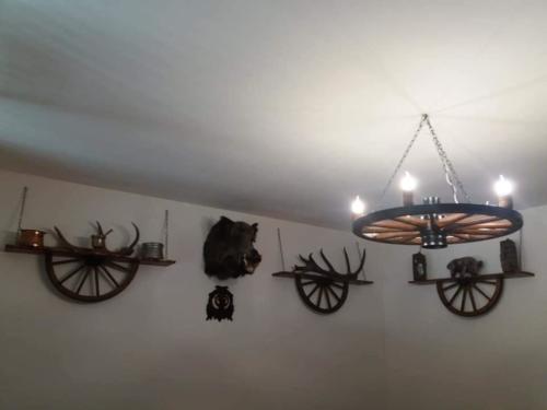 55802451 1184815745024635 2016890666239393792 n