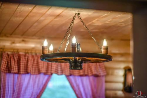 61767107 1236911736481702 2257016755840876544 n